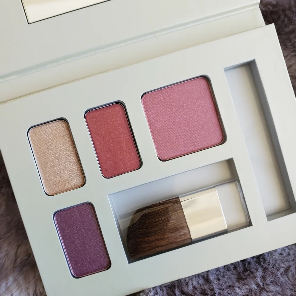 Clinique Colour to Go Palette Beach Plum & Gilded Pink & Smoldering Plum Blush